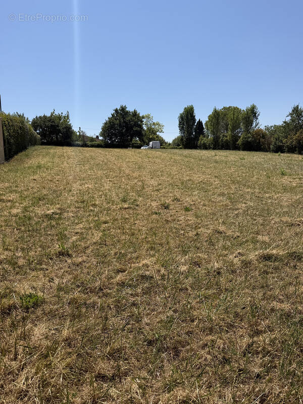 Terrain à MONTAUBAN