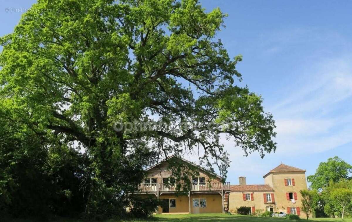 Un Domaine sur la Colline - photo 4