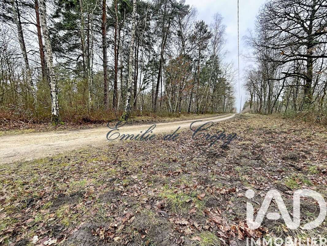 Photo 5 - Maison à LAMOTTE-BEUVRON