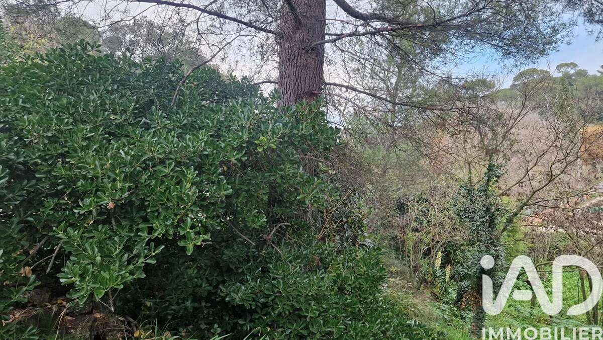 Photo 2 - Terrain à MARSEILLE-11E