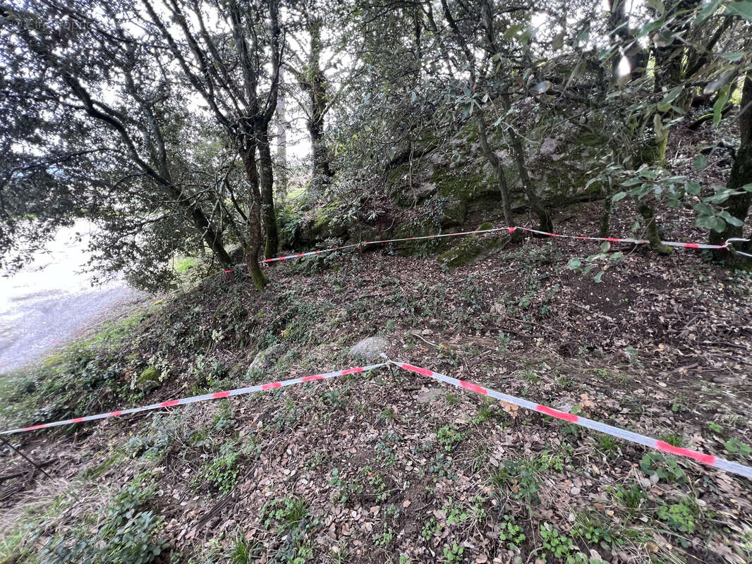 Terrain à SAINT-PERAY