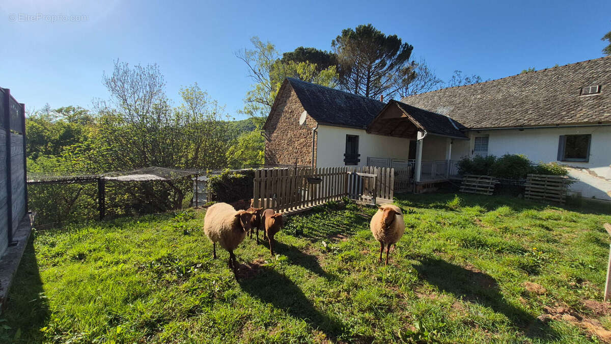 Maison à BESSUEJOULS