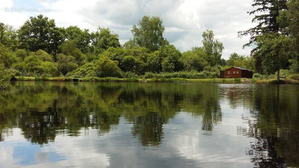 Terrain à COMPREIGNAC