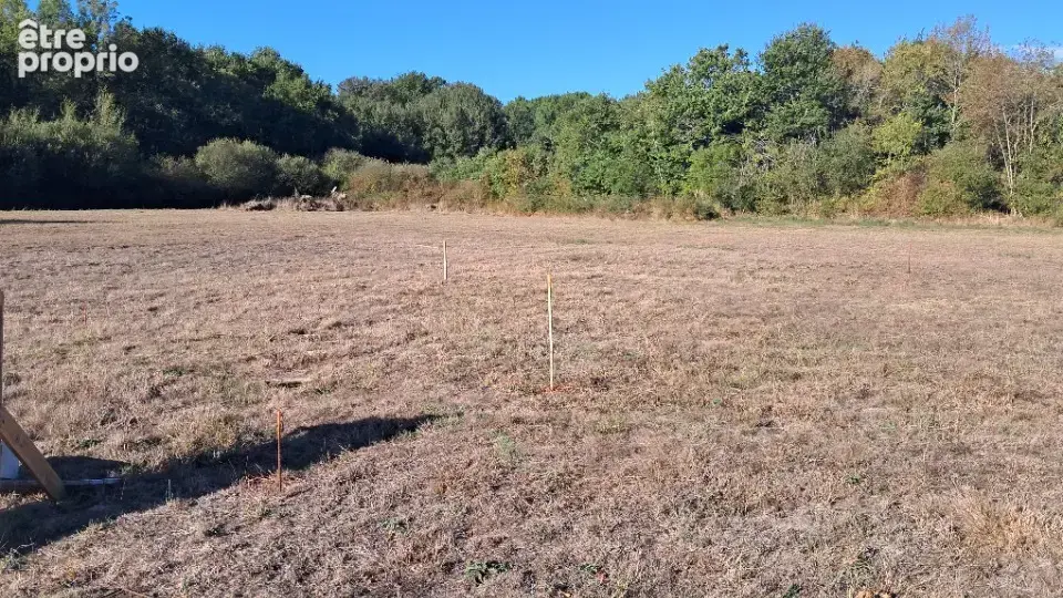 Terrain à CHEPNIERS