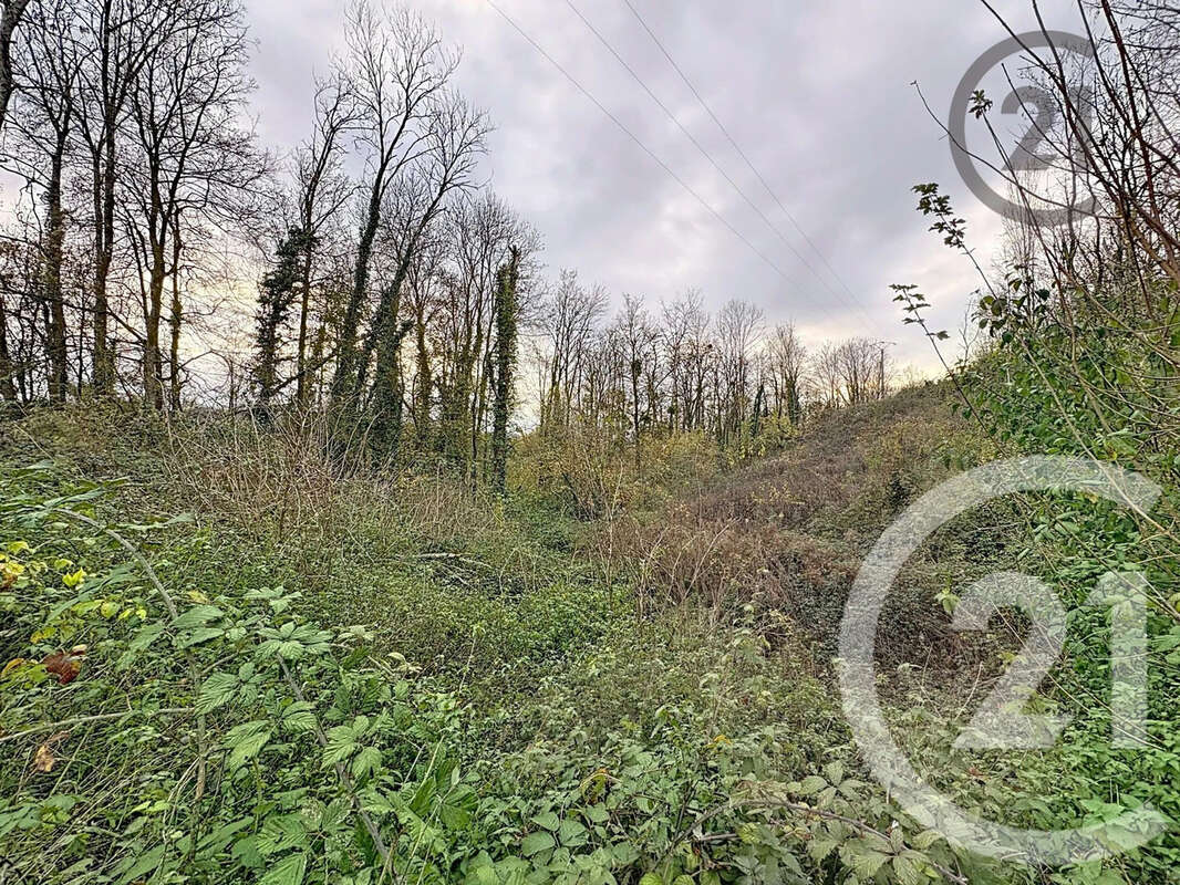 Terrain à CHALAUTRE-LA-PETITE