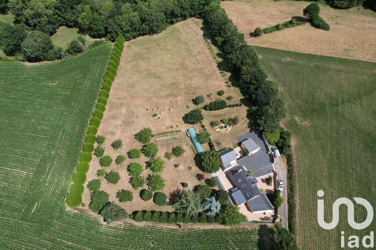 Photo 2 - Maison à LAMBALLE