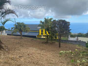 Terrain à SAINT-LEU