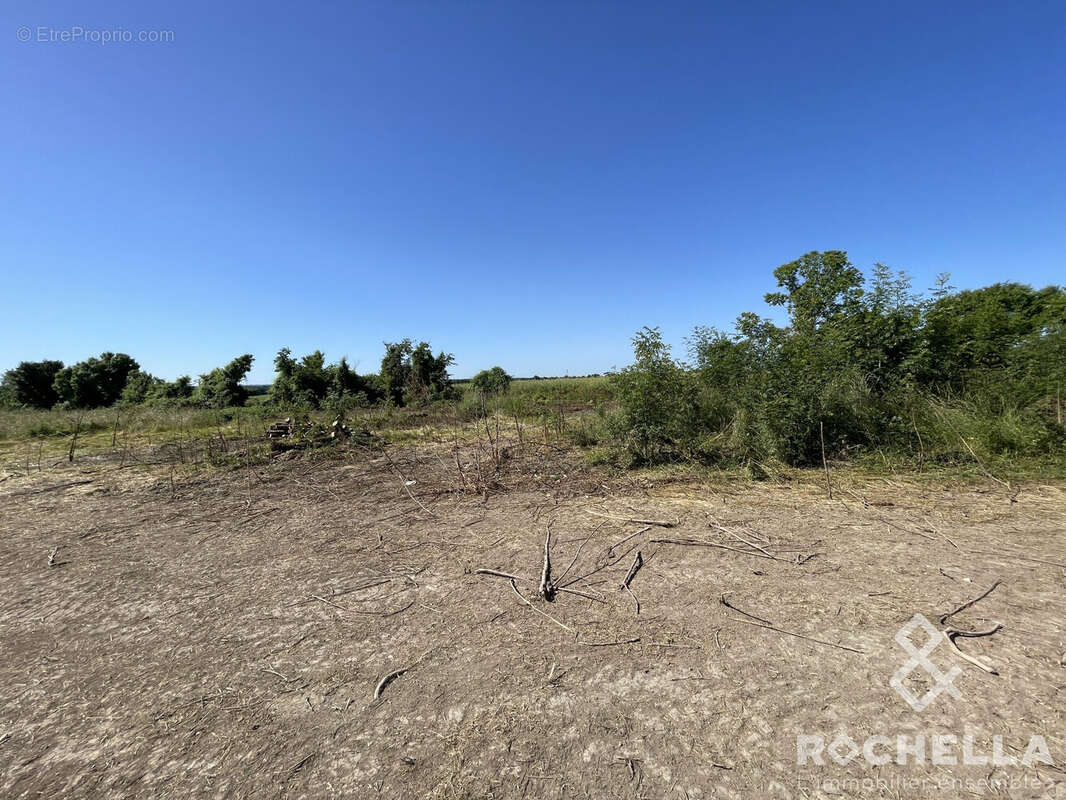 Terrain à SAINT-CREPIN