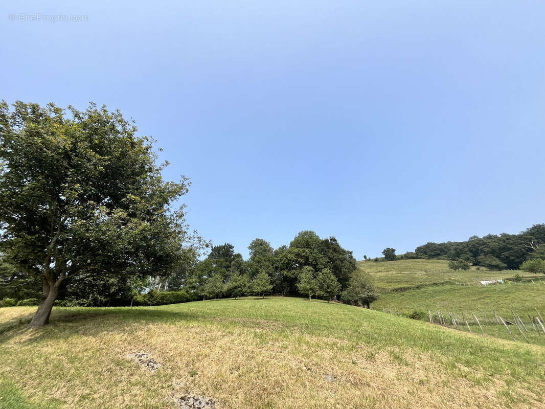 Photo 4 - Terrain à IRISSARRY