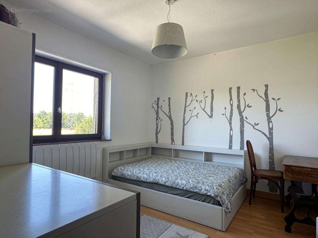 Morschwiller le bas, maison 134 m2, 4 chambres, 2 bains  sur joli terrain 606 m2 - photo 12