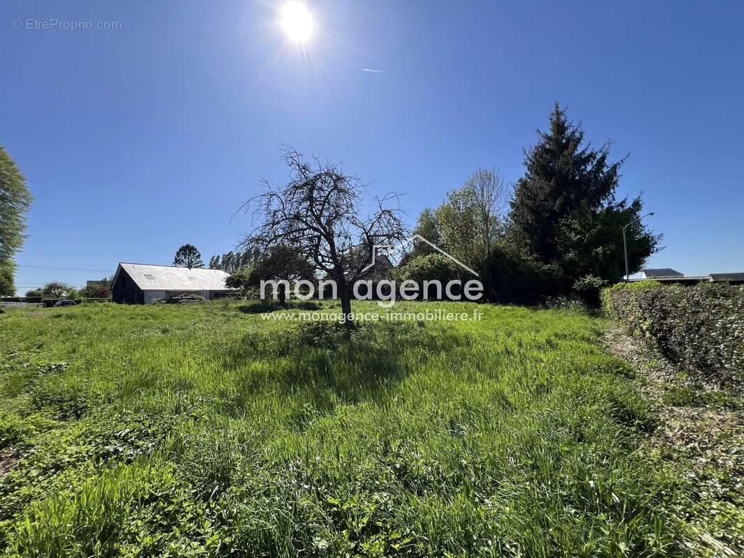 Terrain à QUINCAMPOIX