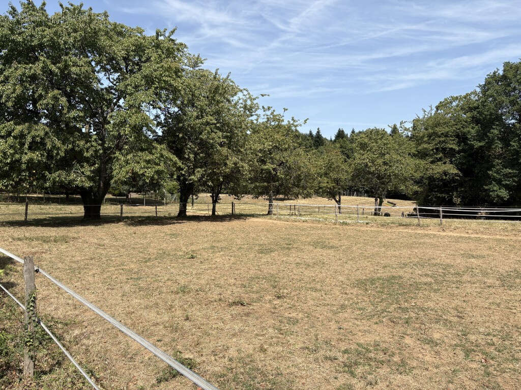 Saint-Sornin Lavolps, en bordure de l'hippodrome - photo 5