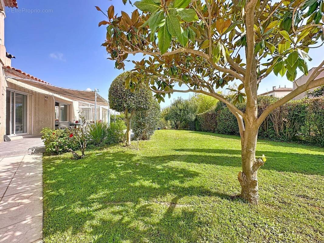 Maison à SAINT-JEAN-DE-VEDAS