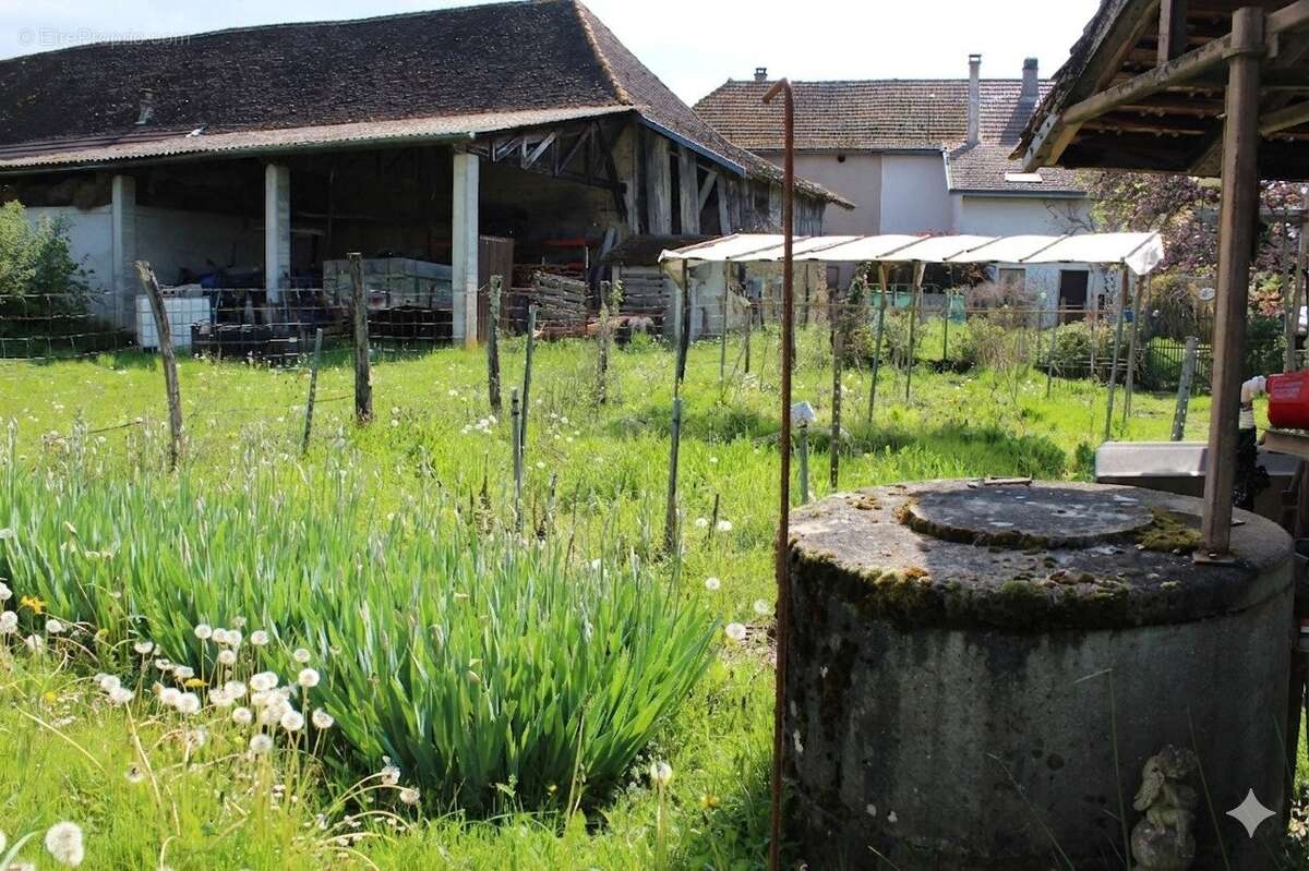Maison spacieuse & Grand terrain - photo 13