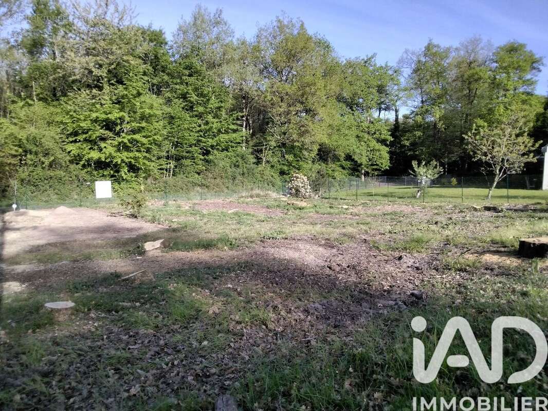 Terrain 550 m² à Verrie  - photo 4