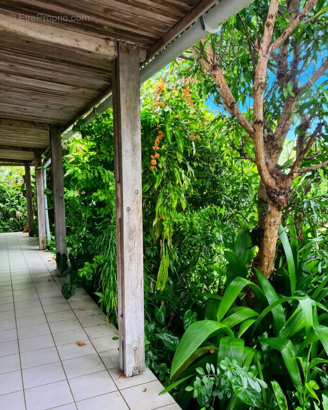 Maison T4/5 Piton Bois de Nèfles Ste Clotilde - photo 2