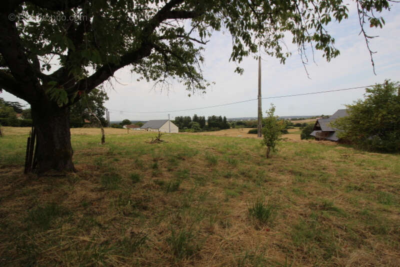 Terrain à CHATELLERAULT