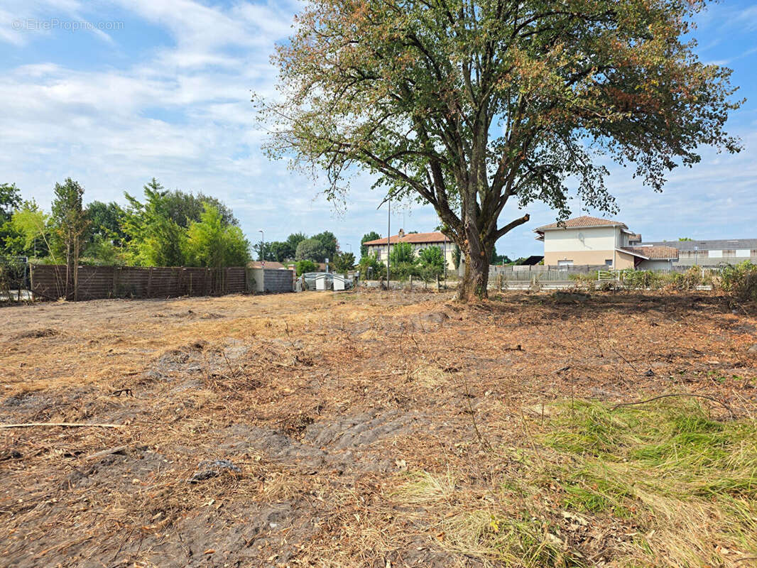 Terrain 1058 m² Mios - photo 2