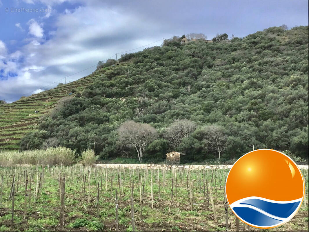 Terrain à BANYULS-SUR-MER