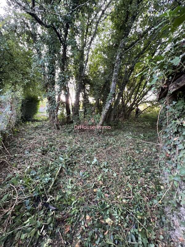 Maison à LOURDOUEIX-SAINT-MICHEL