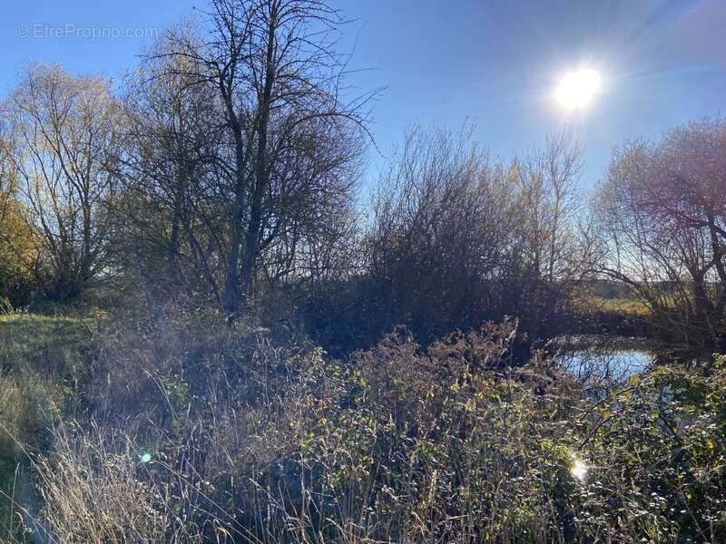 Maison à SAINTE-SCOLASSE-SUR-SARTHE