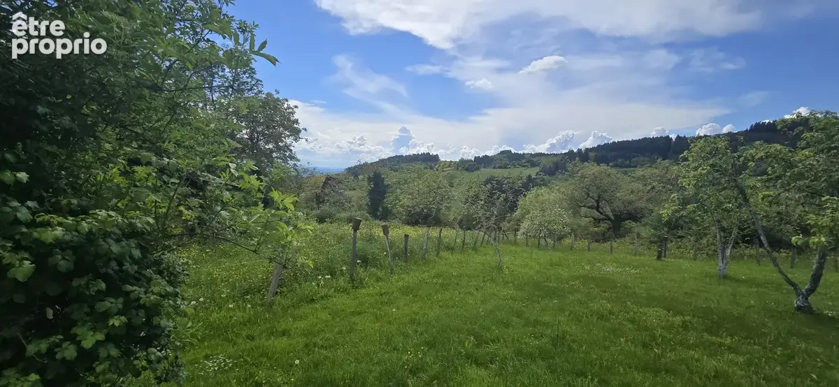 Ensemble immobilier : deux maisons, dépendances, terrains et potentiel locatif - photo 19