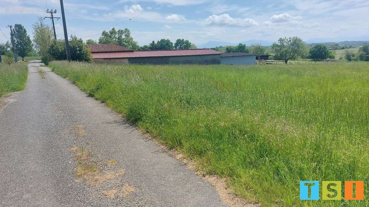 Terrain à CIADOUX