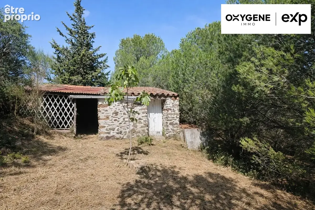 Terrain 6 070 m² à vendre à Montner (66720) - photo 2