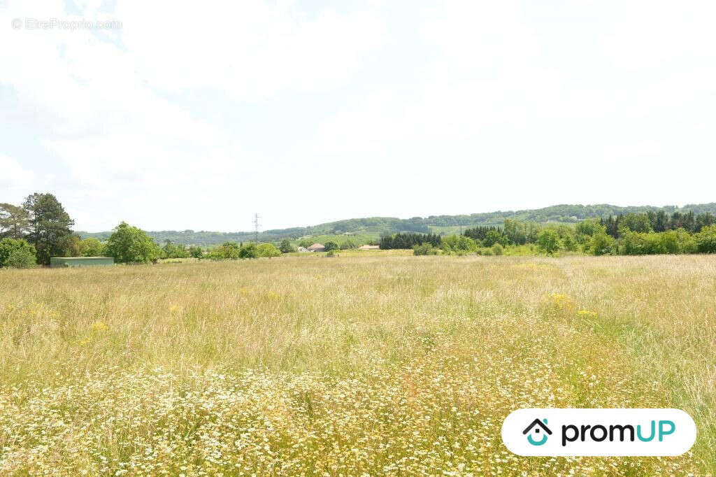 Terrain à SAINTE-LIVRADE-SUR-LOT