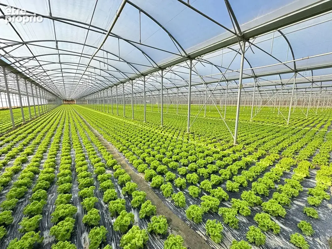 Domaine agricole Bompas et Villelongue de la Salanque 31000 m2 - photo 7