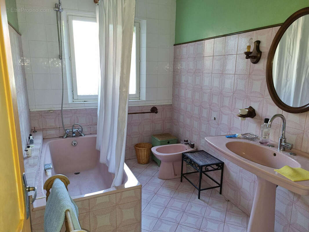 Maison de Maître Maubourguet centre 8 pièces 355 m² - photo 12