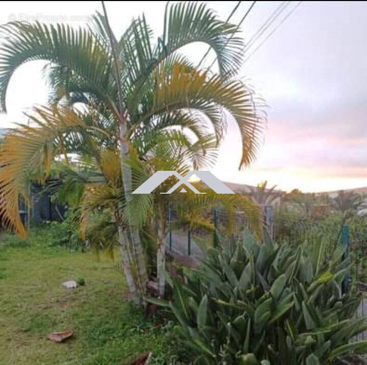 Terrain à LE TAMPON