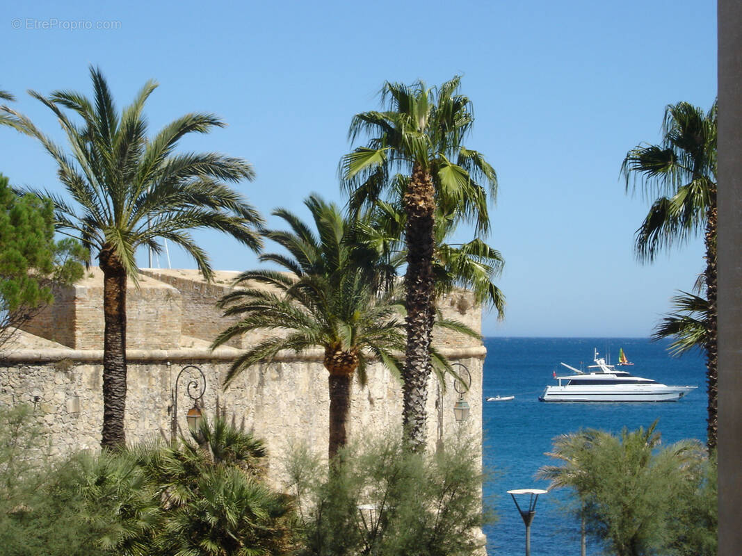 Commerce à ANTIBES