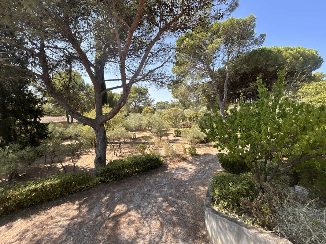 Exclusivite hauts de nimes maison 150m2 terrain 3062m2 arbore garage en sous sol - photo 8