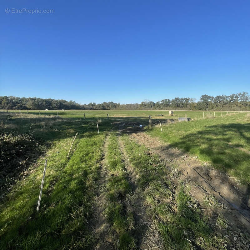 Maison à CHAMPOULET