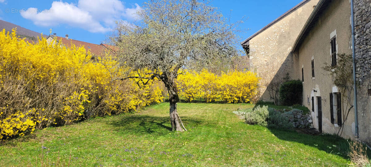 Maison à INJOUX-GENISSIAT