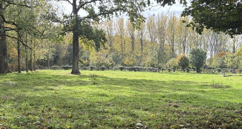 Terrain à AVERDOINGT