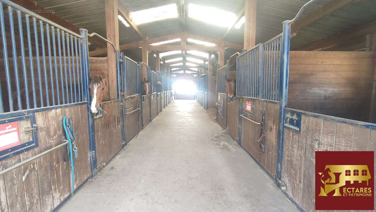 Maison à SAINT-TRIVIER-DE-COURTES