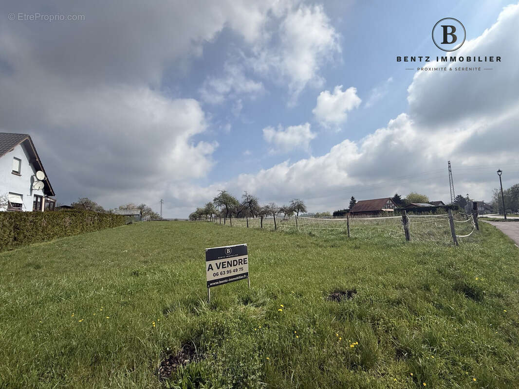 Parcelle vue avant  - Terrain à ASSWILLER