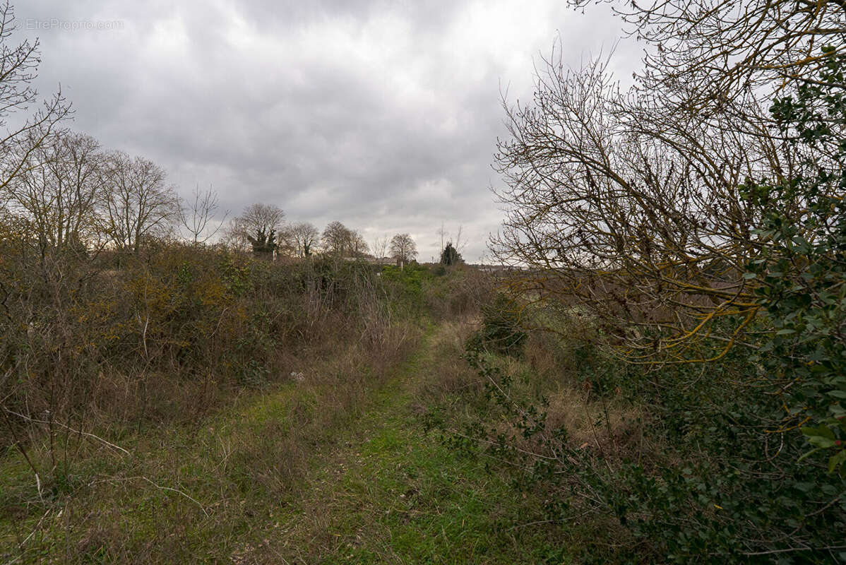 Terrain à CARCASSONNE