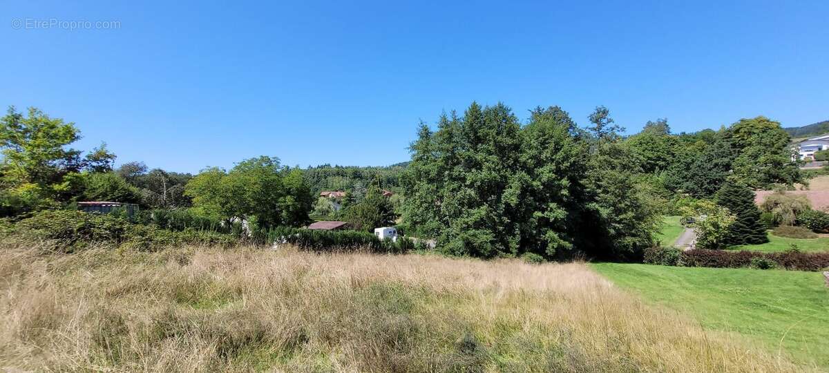 Terrain 1528 m² à Saint-Die-Des-Vosges  - photo 2