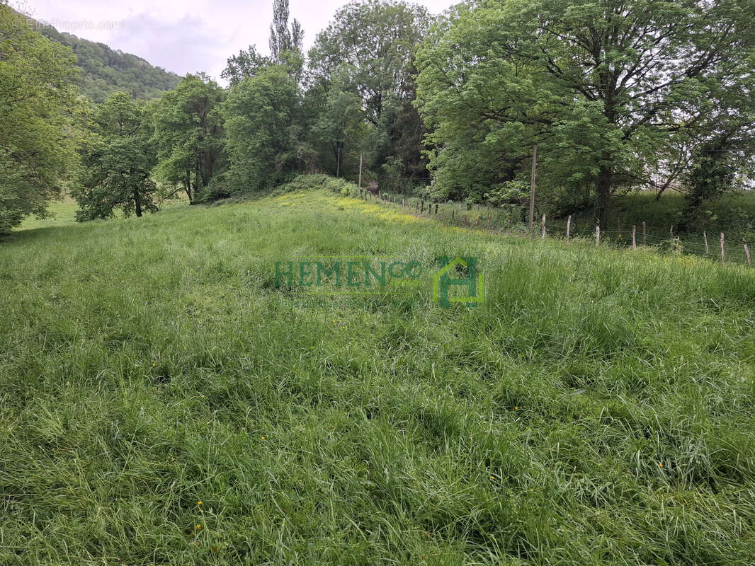 Terrain à SAINT-JEAN-LE-VIEUX