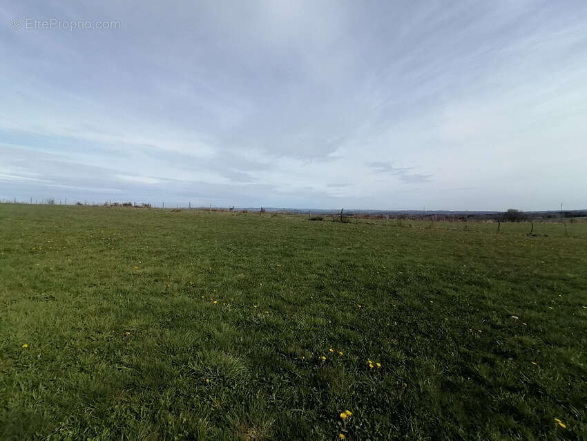 Terrain à BROMONT-LAMOTHE