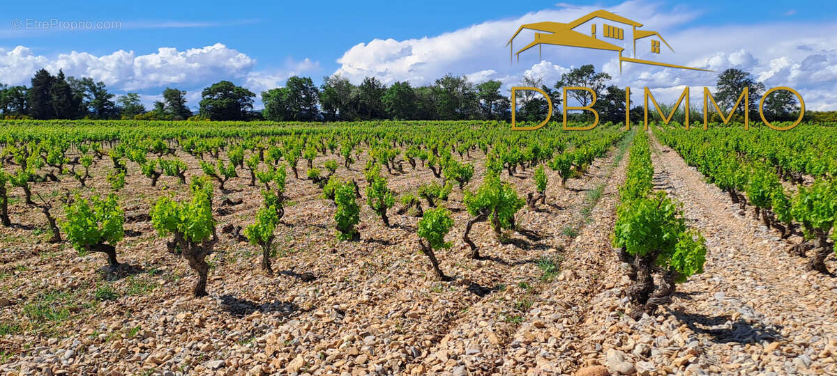 Terrain à SAINTE-CECILE-LES-VIGNES