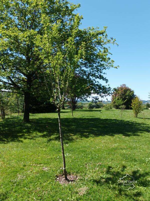 Maison à SALIES-DE-BEARN