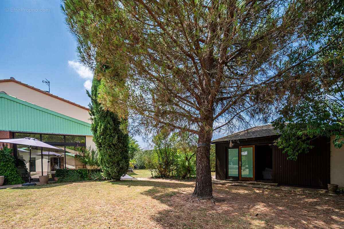 Maison 281m² à saint-jory - photo 15