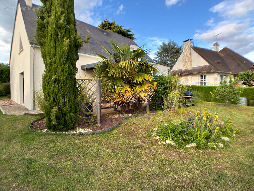 Maison à VINEUIL