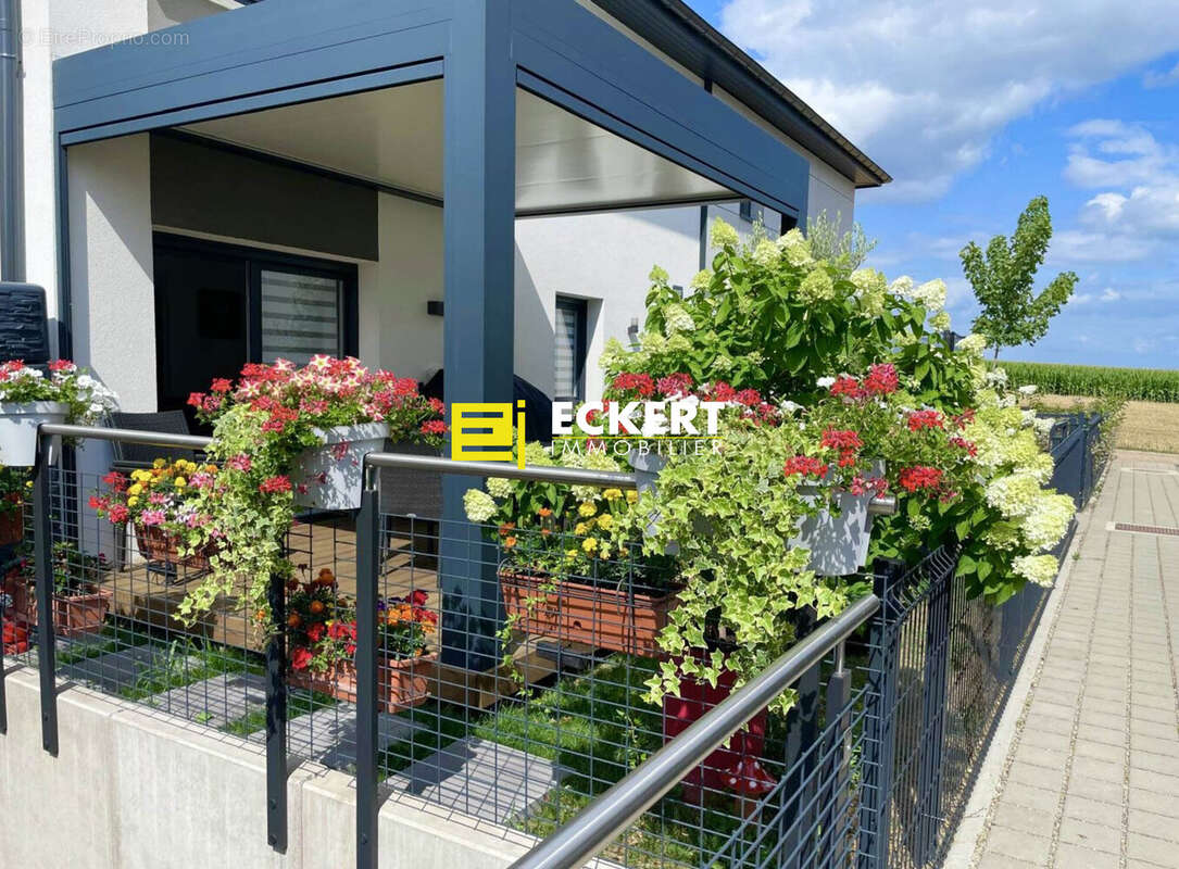 Appartement à GRIESHEIM-PRES-MOLSHEIM