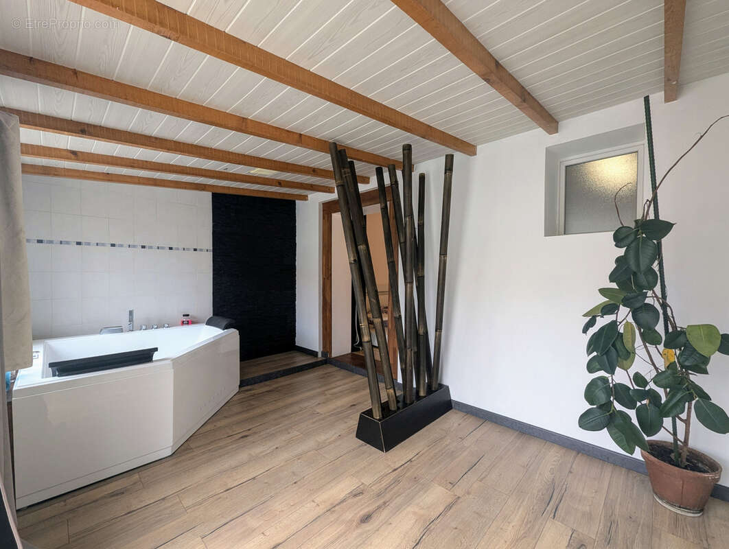 Maison à SAINT-PAUL-SUR-SAVE