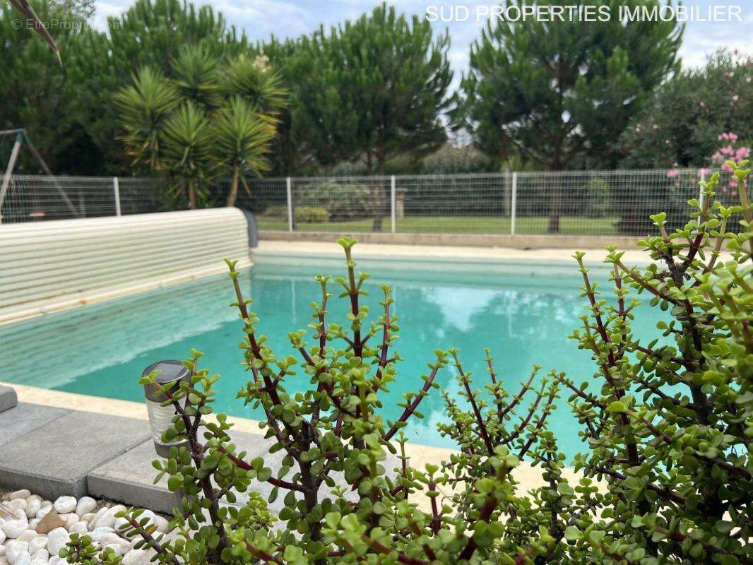 Maison à TORREILLES